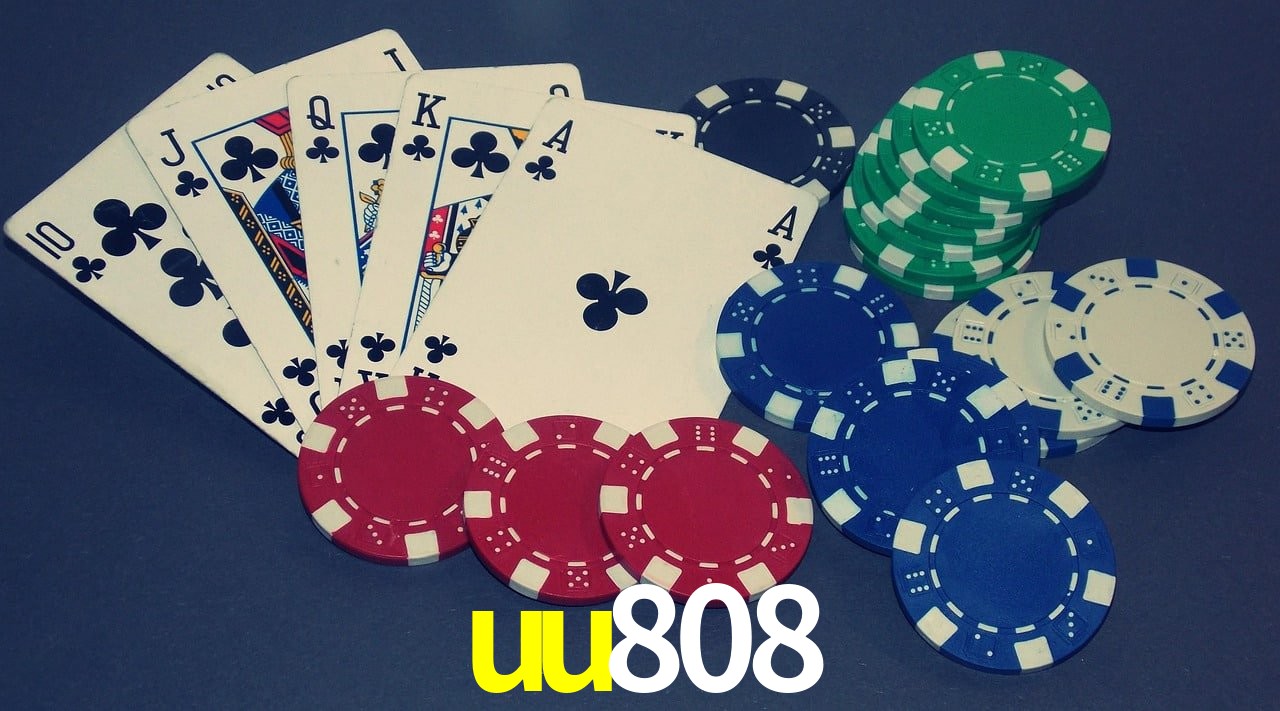 Responsive Design uu808